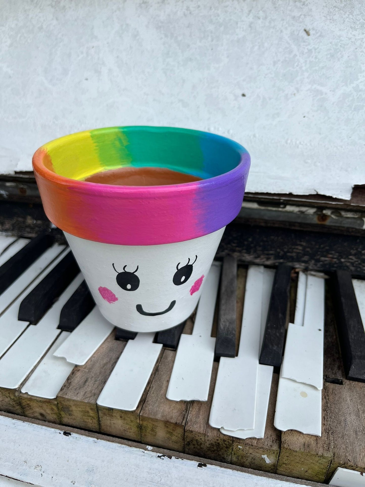 SMILEY FACE: terracotta pot custom painted