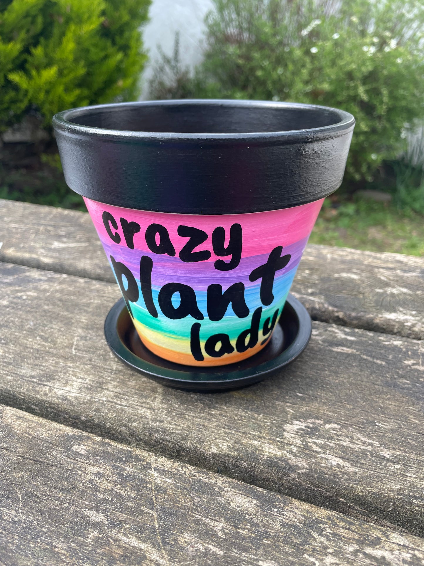 Plant pot saucers painted terracotta