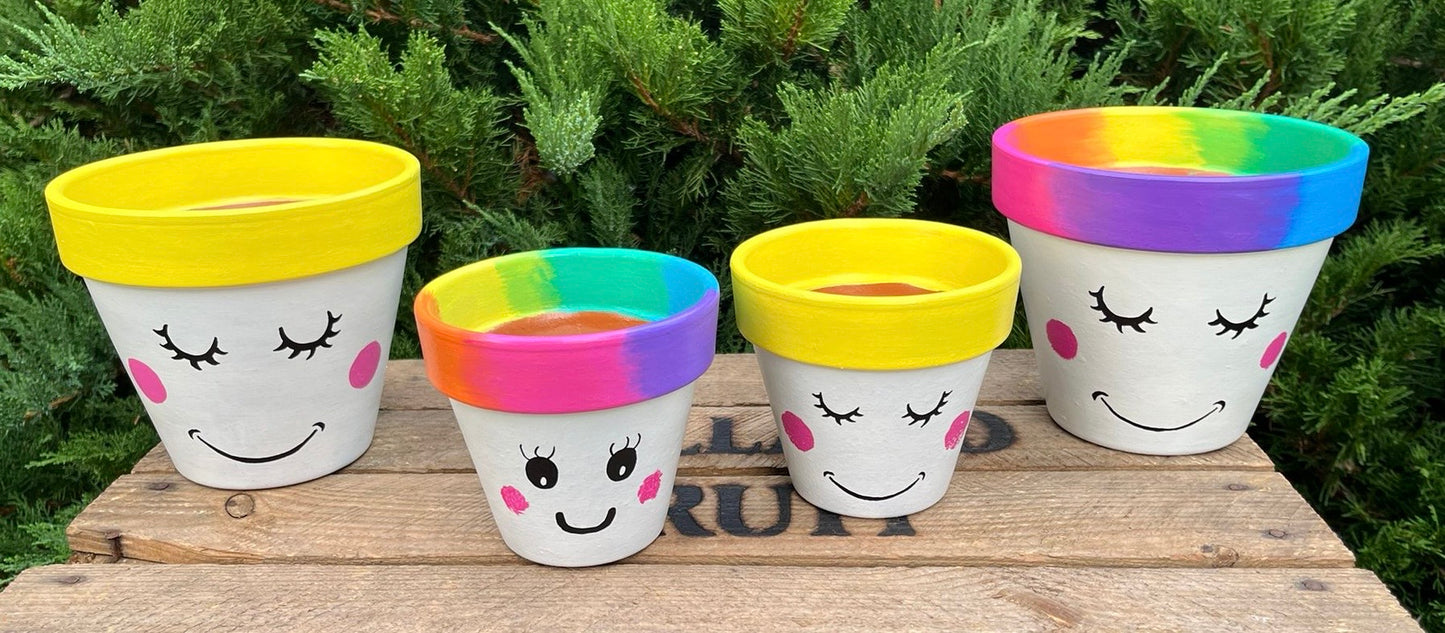 SMILEY FACE: terracotta pot custom painted