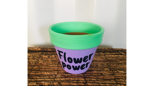 CUSTOM Terracotta pot: FLOWER POWER (custom painted to your choice)