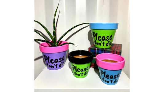 CUSTOM Terracotta pot: PLEASE DON'T DIE (custom painted to your choice)