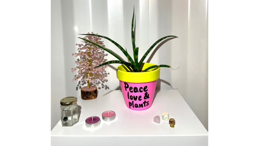 CUSTOM Terracotta pot: PEACE LOVE & PLANTS (custom painted to your choice)