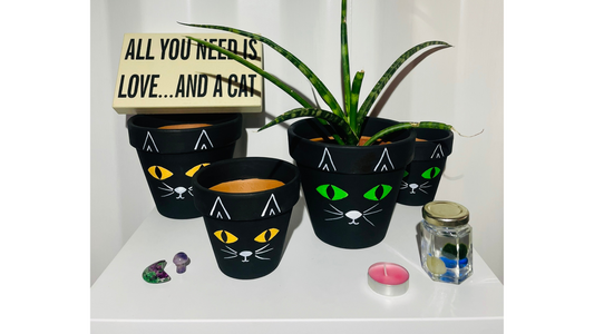CUSTOM Terracotta pot black cat (custom painted to your choice)