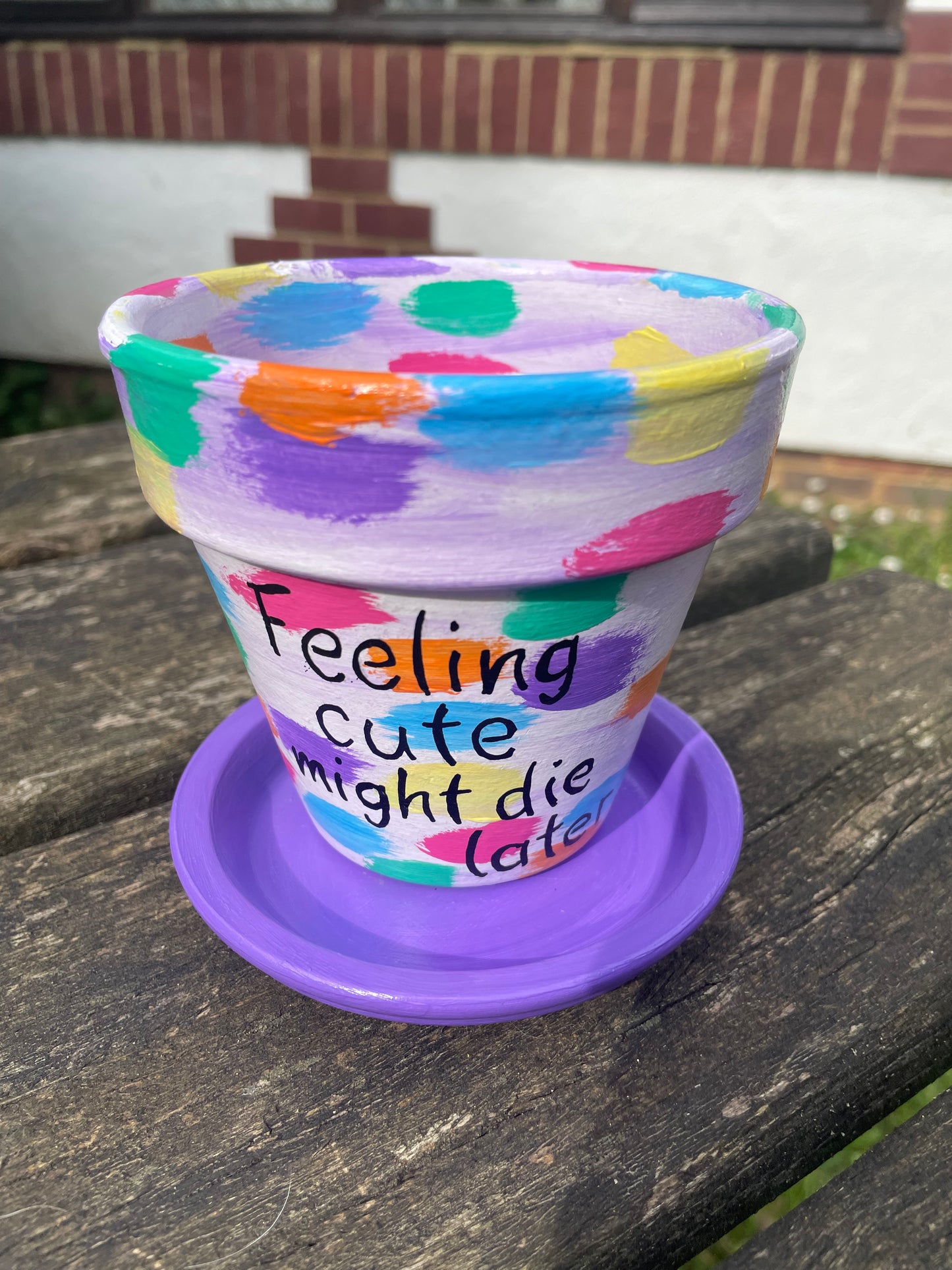 Plant pot saucers painted terracotta