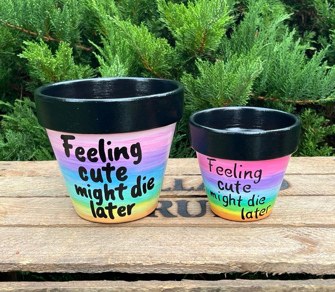 plant pot feeling cute might die later FEELING CUTE MIGHT DIE LATER: terracotta pot custom painted