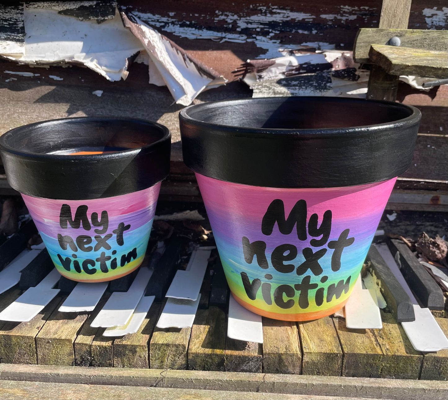 My next victim: terracotta pot custom painted