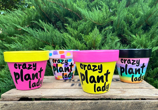 CRAZY PLANT LADY: terracotta pot custom painted