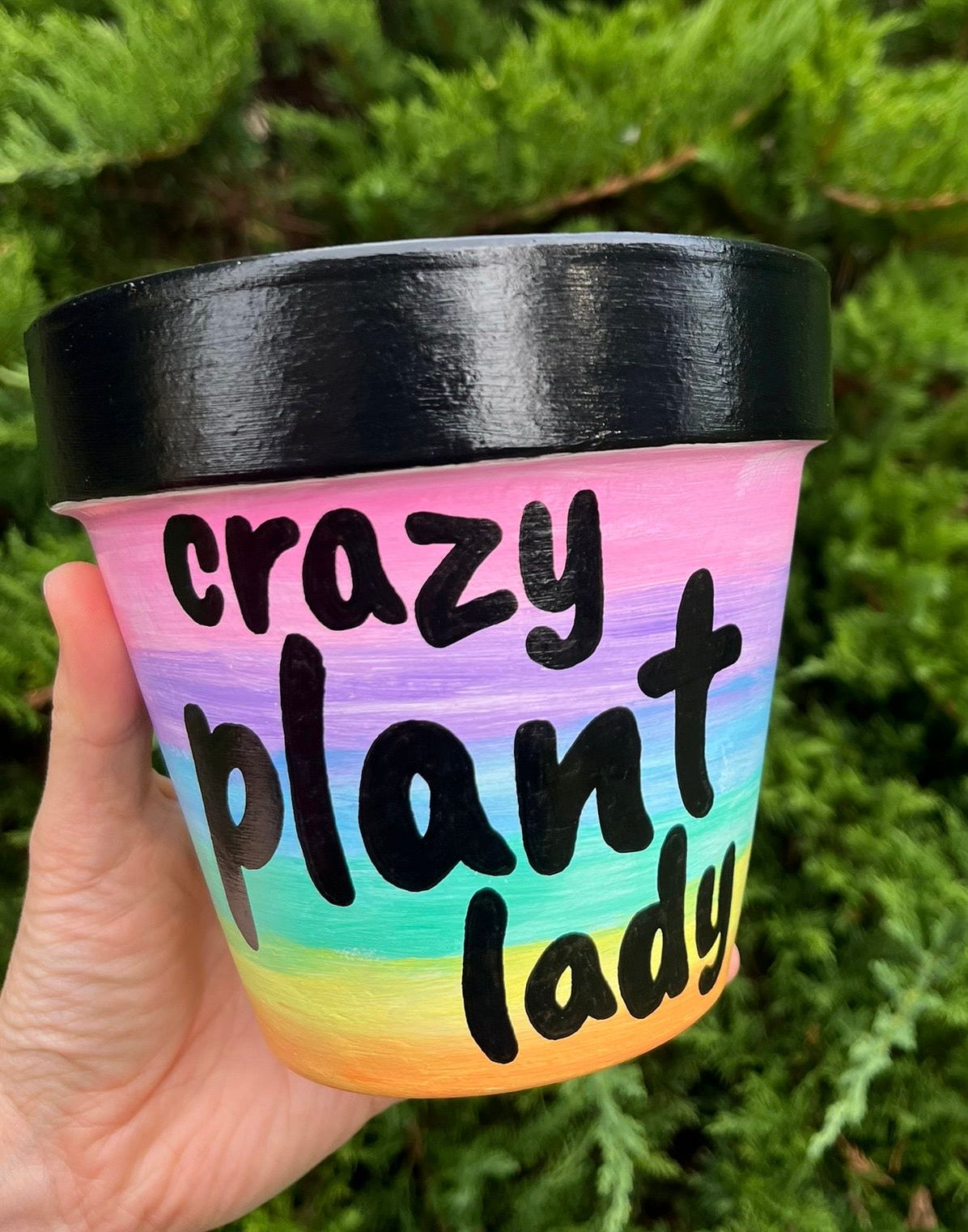 CRAZY PLANT LADY: terracotta pot custom painted