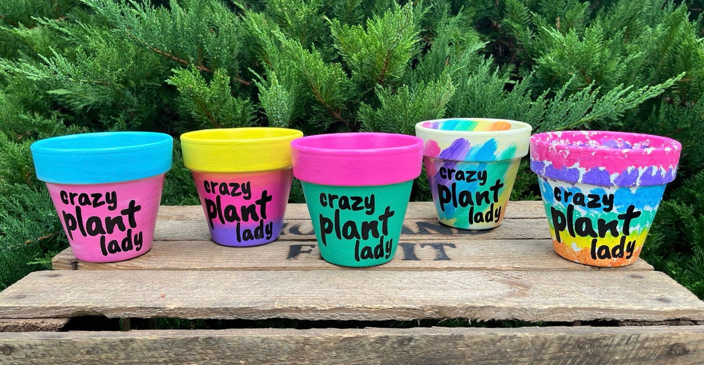 CRAZY PLANT LADY: terracotta pot custom painted