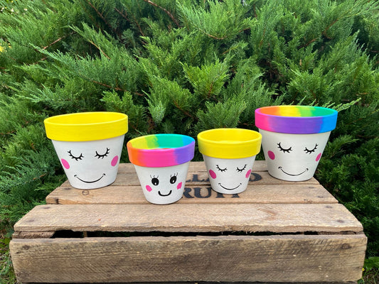 SMILEY FACE: terracotta pot custom painted