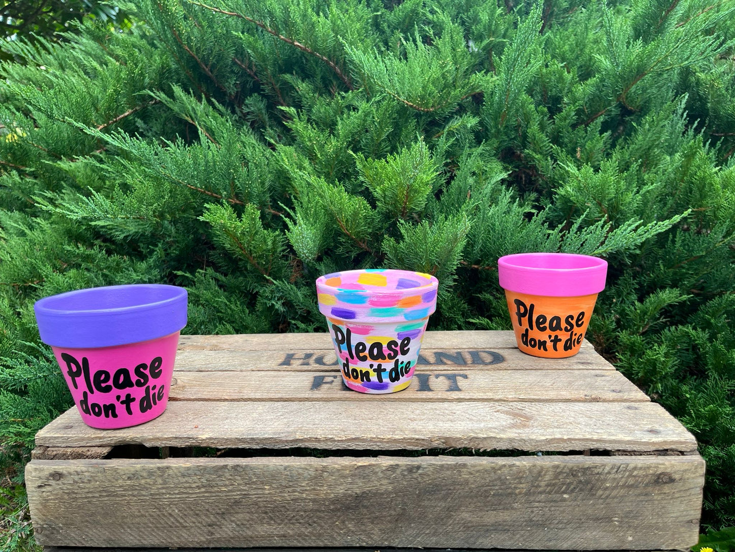 PLEASE DON'T DIE: terracotta pot custom painted