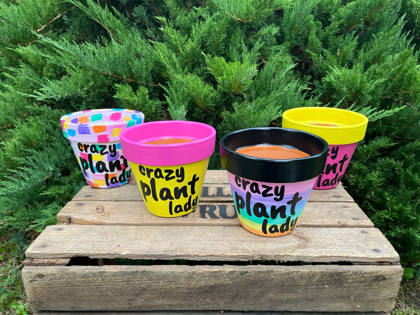 CRAZY PLANT LADY: terracotta pot custom painted