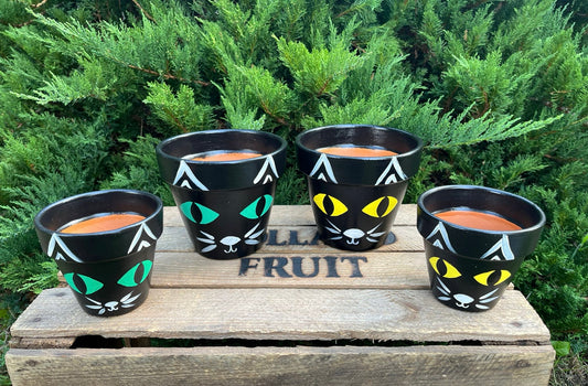 BLACK CAT: terracotta pot custom painted